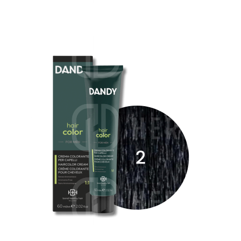 DANDY HAIR COLOR FOR MEN krem koloryzujący odsiwiacz 60 ml | Cover 2