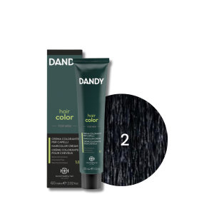 DANDY HAIR COLOR FOR MEN krem koloryzujący odsiwiacz 60 ml | Cover 2