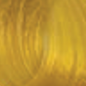 ENVIE HAIR COLOR profesjonalna trwała farba do włosów 100 ml | 03 - image 2