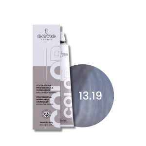 ENVIE HAIR COLOR profesjonalna trwała farba do włosów 100 ml | 13.19