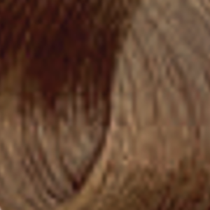 ENVIE HAIR COLOR profesjonalna trwała farba do włosów 100 ml | 7.31 - image 2