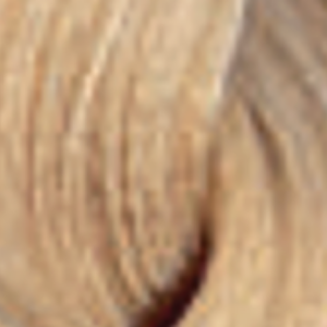 ENVIE HAIR COLOR profesjonalna trwała farba do włosów 100 ml | 9.03 - image 2