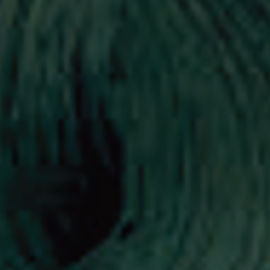 ENVIE HAIR COLOR profesjonalna trwała farba do włosów 100 ml | Green - image 2