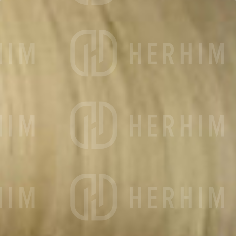 VERSUM EASY TECH trwała farba do włosów bez amoniaku 100 ml | 10.0 - 2