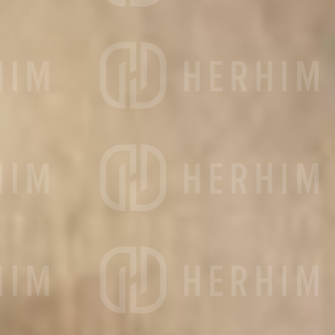 VERSUM EASY TECH trwała farba do włosów bez amoniaku 100 ml | 10.3 - 2