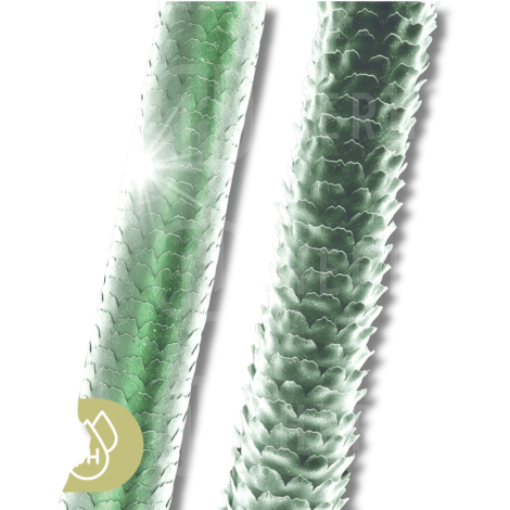 MONTIBELLO ECLAT półtrwała kwaśna farba bez amoniaku 60 ml | 10.12 - 7