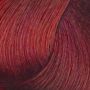 FAIPA ROMA SICURA Creme Color farba do włosów 120 ml | 7.666 - 3