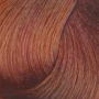 FAIPA ROMA SICURA Creme Color farba do włosów 120 ml | 8.43 - 3