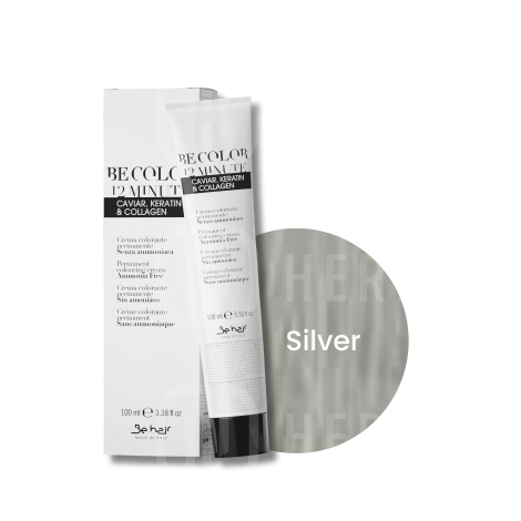 BE HAIR BE COLOR 12 MINUTE trwała farba do włosów 100 ml | mix Silver