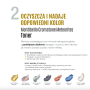 MONTIBELLO CROMATONE METEORITES Toner rozświetlający 60 ml | Platinum Nacre - 7