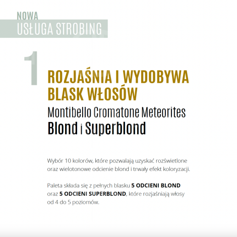 MONTIBELLO CROMATONE METEORITES Toner rozświetlający 60 ml | Titanium Grey - 5