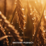 GENUS ENERGY energetyzujący szampon do włosów osłabionych 1000 ml - 6