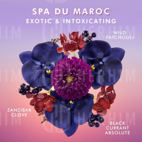 MOROCCANOIL BODY Shower Gel żel pod prysznic 250 ml | Spa du Maroc - 4