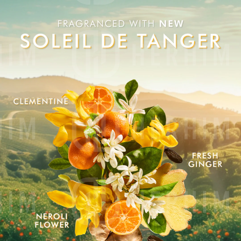 MOROCCANOIL BODY Hand Wash mydło do rąk w płynie 360 ml | Soleil de Tanger - 4