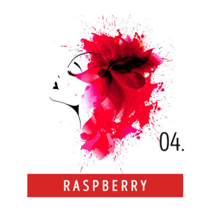 FUNKY COLOR toner odżywka koloryzująca w kremie 100 ml | 04 Raspberry - image 2