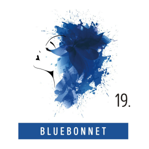 FUNKY COLOR toner odżywka koloryzująca w kremie 100 ml | 19 Bluebonnet - image 2