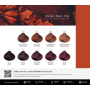 FAIPA ROMA SICURA PROFESSIONAL AKCESORIA Creme Color karta kolorów - 10