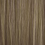 GENUS COLOR krem koloryzujący profesjonalna farba do włosów 100 ml | 10.00 - 3