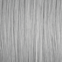 GENUS COLOR krem koloryzujący profesjonalna farba do włosów 100 ml | Silver - 3