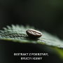 GENUS GREENUS CURATIVE zestaw naturalnej kuracji skalpu | 250 ml + 100 ml - 5