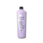 KAYPRO NOYELLOWGIGS szampon neutralizujący do włosów blond 1000 ml - 2