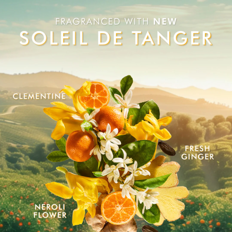 MOROCCANOIL BODY Lotion balsam do ciała 360 ml | Soleil de Tanger - 4