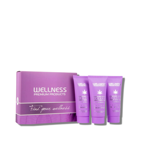 WELLNESS PREMIUM SILVER mini zestaw neutralizujący odcienie 3 x 50 ml
